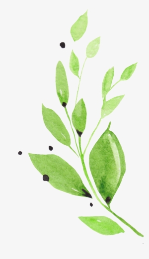 Green Leaves Transparent Decorative - Watercolor-grün-blätter-rosa Blumen Danken Ihnen Karte