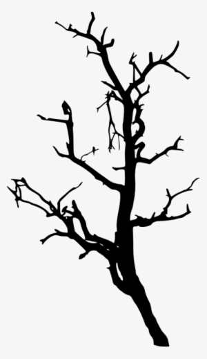 Free Png Dead Tree Silhouette Png Images Transparent - Transparent Tree Silhouette Pine