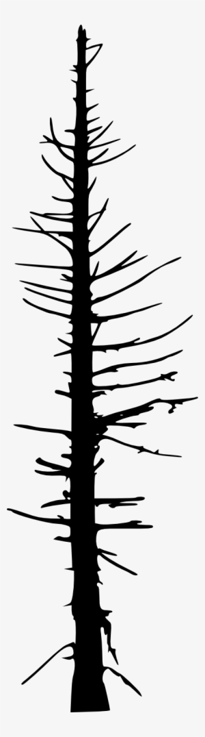 Tree Silhouette Png Free Hd Tree Silhouette Transparent Image Page 4 Pngkit