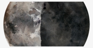 Holistic Nutrition Client - Permalink