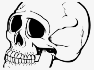 Skeleton Clipart Nose - Sitzplatz New Rock 40082 4 Toilet Seat