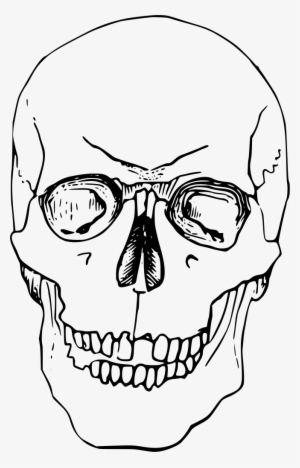 Download Png - Skelett Kopf Zeichnung
