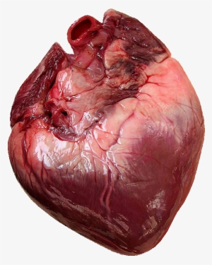1 Corazon