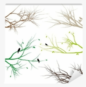 Tree Branches With Leaves