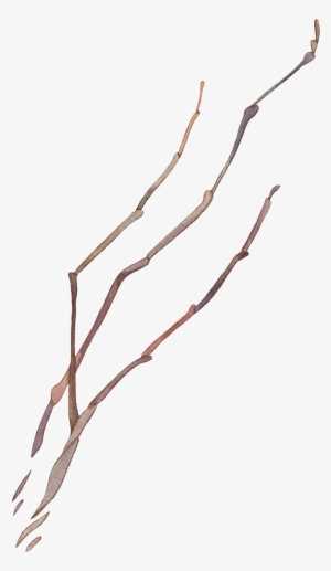Branch Vector - Vector Graphics