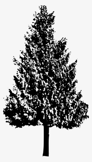 Free Download - Tree