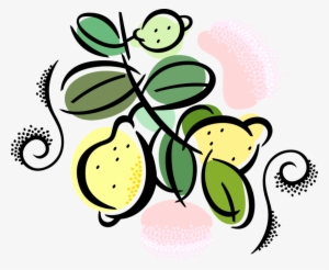 Vector Illustration Of Citrus Fruit Lemons Growing - Fruit Of The Holy Spirit
