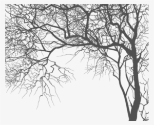 Tree Branch Psd - Vector Tree Branches