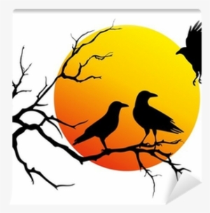 Bird Silhouette On Tree Branch