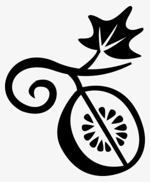 Vector Illustration Of Botanical Horticulture Fruit - Starch