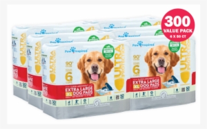 Paw Inspired Ultra Protection Extra Large Puppy Training