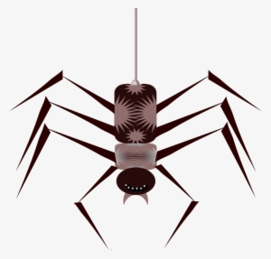Insects And Spiders Insects And Spiders True Bugs Spiders