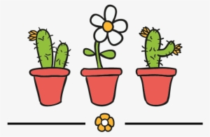 Cactus - Cactus Y Suculentas Png