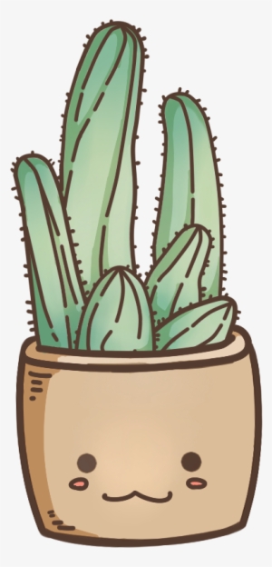 Cactus - San Pedro Cactus