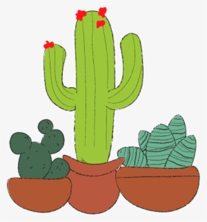 #lhd Houston City Guide - Prickly Pear
