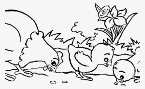 Farm Animals Colouring Pictures Of Animals