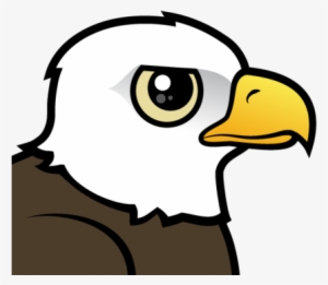 About The Bald Eagle - Cute Eagle