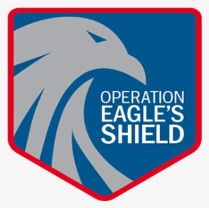 Ice Operation Targeting Public Safety Threats Nets - Washington, D.c.