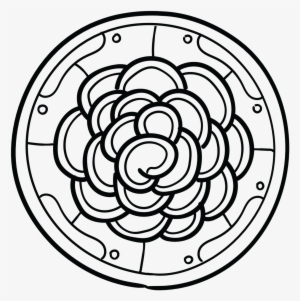 Mazapan A Traditional Mexican Candy Made From - Nike Women Make Yourself