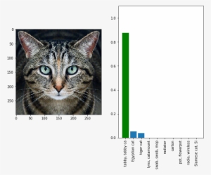 Adversarial Examples - Google Ai Cat Guacamole