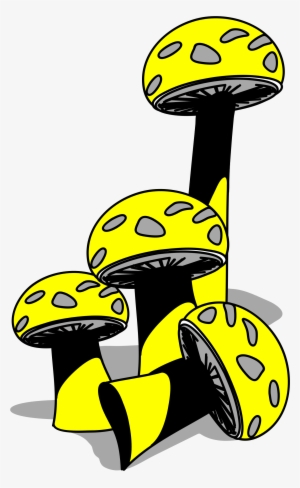 Shrooms Png