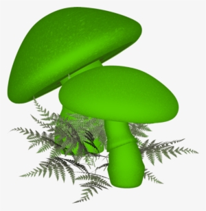 Shrooms ‿✿⁀°••○ - Fairy