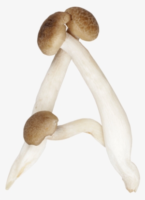 Shimeji Mushroom Font " - Mushroom Letters