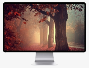 Score 50% - Forest Red Iphone 6 Plus Phone Case