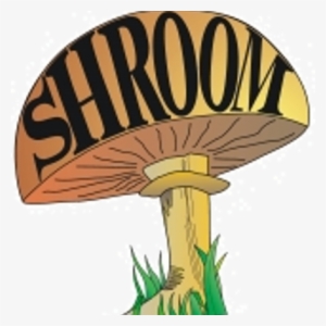 Sunshinecoast Shroom - Mushroom Festival