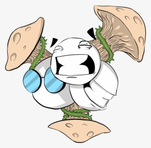 Log In To Report Abuse - Magic Mushrooms