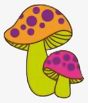 Mushrooms Psychedelic Trippy Shrooms Natnat7w Freetoedi