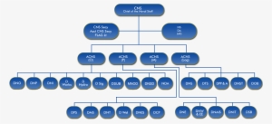 The Capital City Of Bangladesh - Rank Of Bangladesh Navy Officer