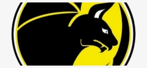 Junior Cancelado - Valencia Firebats