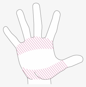 This Is Created By A Small Approximation Of The Metacarpals
