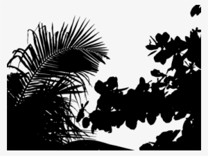 Silhouette Landscape Tropical Vegetation Sunset - Vegetation Silhouette