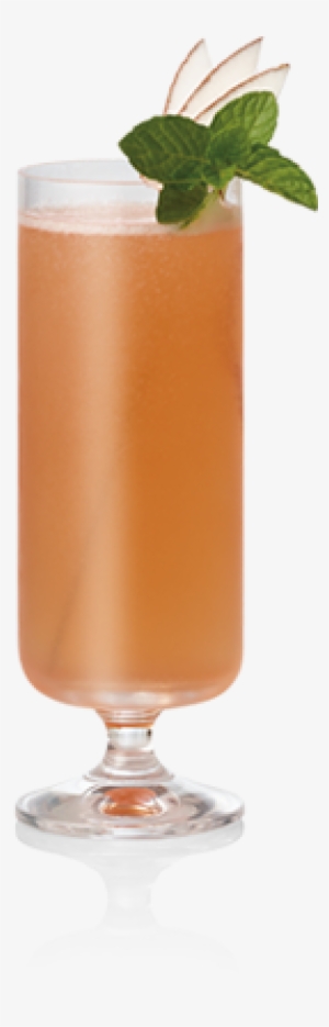 Blushing Bubbles - Drink