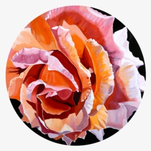 Circular Paintings Png