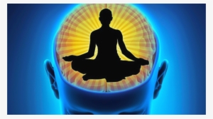 Mindfulness Training And Gray Matter - Yoga