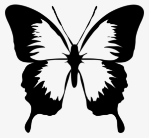 Monarch Butterfly Drawing Download Computer Icons - Butterfly Clip Art