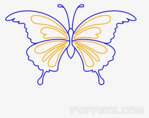 Play Slideshow - Swallowtail Butterfly