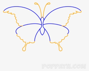 Play Slideshow - Swallowtail Butterfly