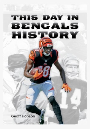 Bengals Square-16