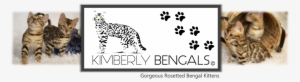 Kimberly Bengals Home