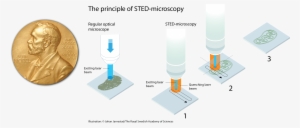 2014 Nobel Prize In Chemistry - Nobel Peace Prize 3.5" Button