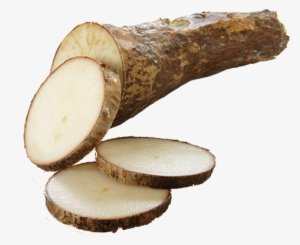 Yuca Png - Yucca Root Transparent