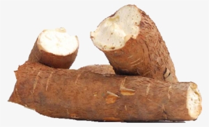 1 - Dibujos Animados De Yuca