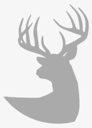 Hacienda De Las Palmas • Hunting And Fishing - Saw Blade Cut Outs