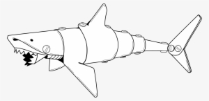 Shark & Diver - Shark