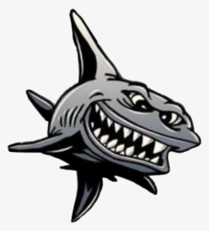 Charter Fishing In Beautiful Brunswick Ga ,,mad Shark - Mad Shark Charters