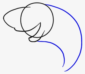 How To Draw Shark - Linea Del Tiempo